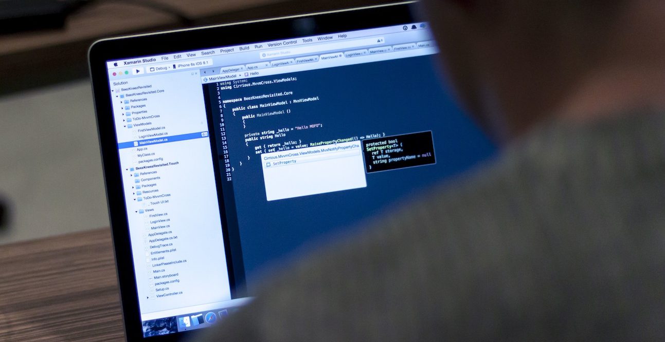 W3C Validation